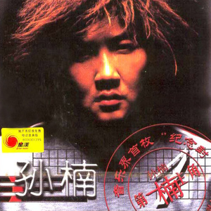 ai智能王丽坤在线播放
