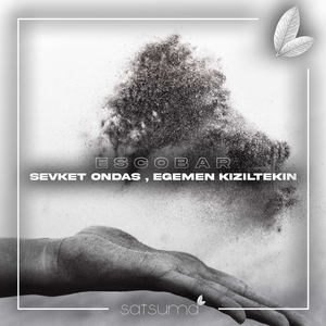 ai智能王丽坤在线播放
