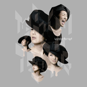 ai智能王丽坤在线播放
