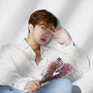 ai智能王丽坤在线播放
