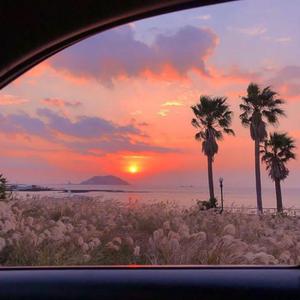 ai智能王丽坤在线播放
